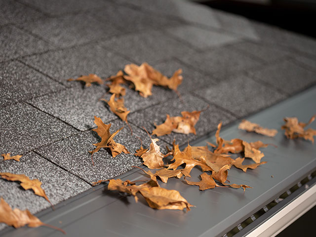 Gutter articles more